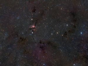 FSQEDX asi2600 ...... Nebula